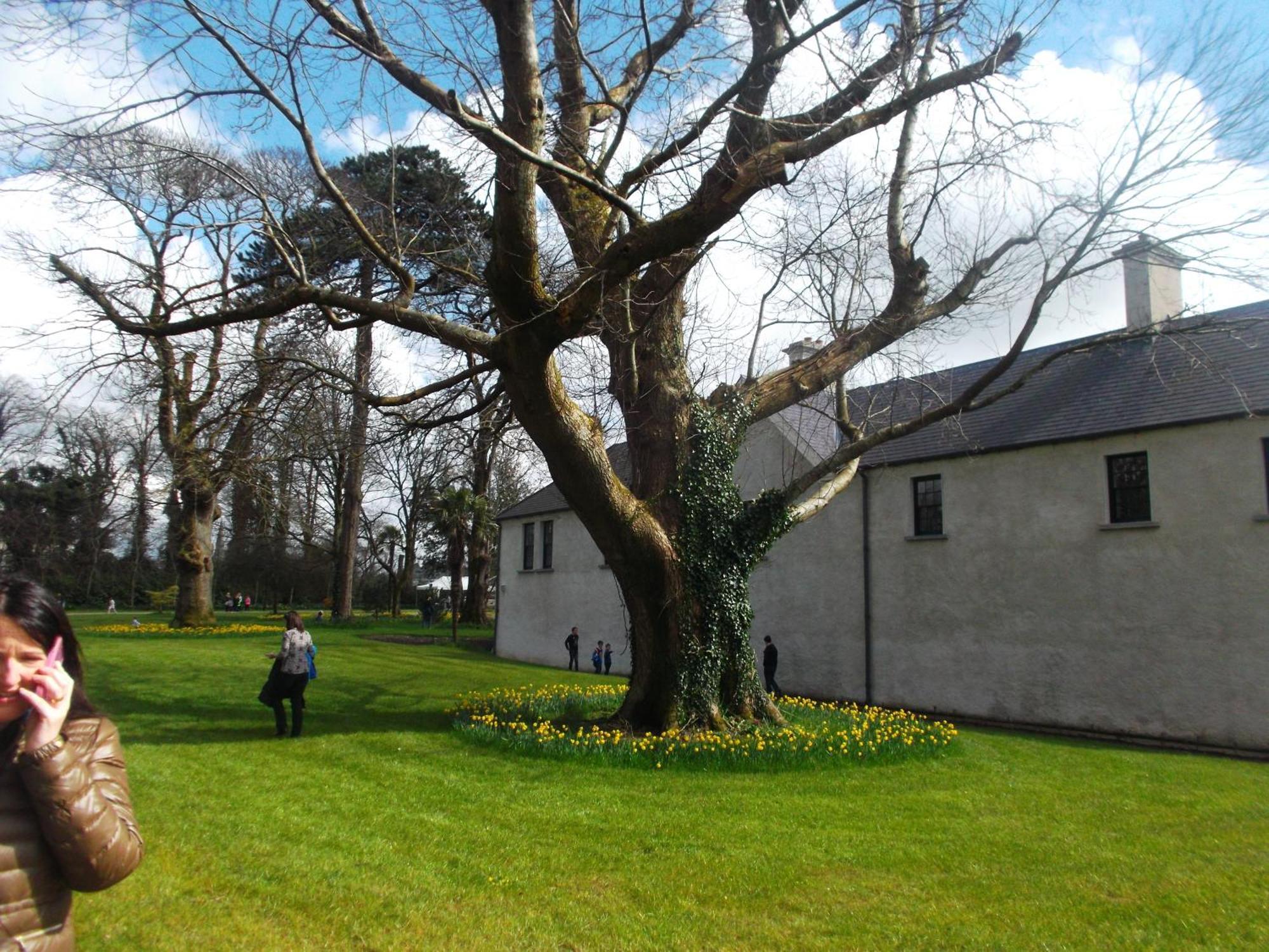 Kerry Holiday Homes At The Killarney Holiday Village Kültér fotó